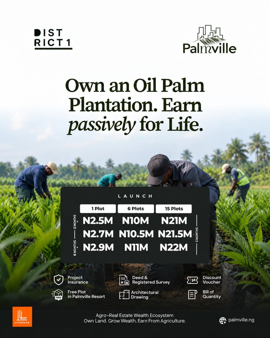 PalmVille - District 1 Launch Offer (Hectare)